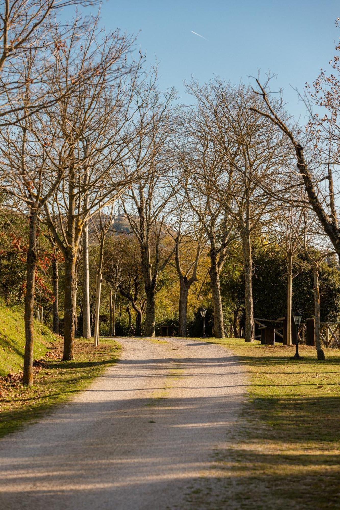 Agriturismo Le Cerque Collazzone Eksteriør billede