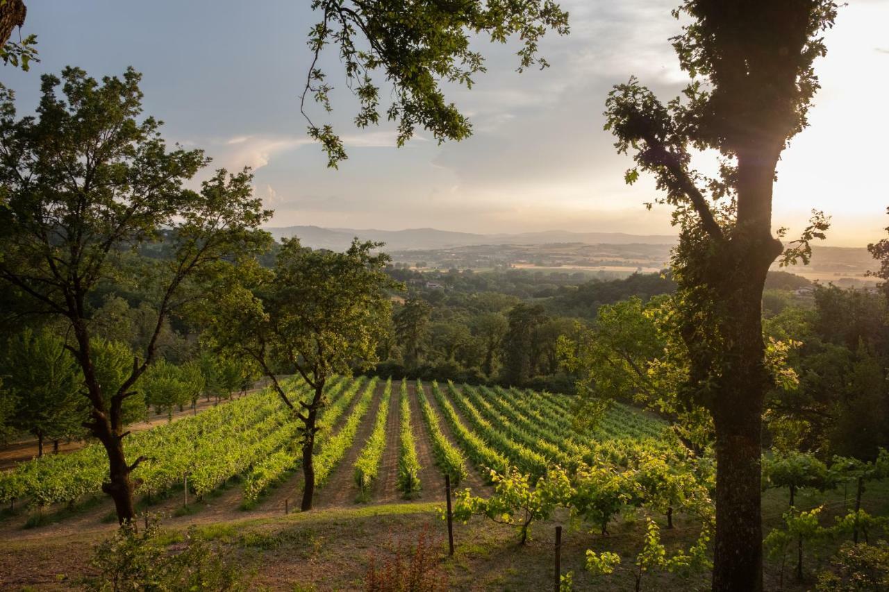 Agriturismo Le Cerque Collazzone Eksteriør billede