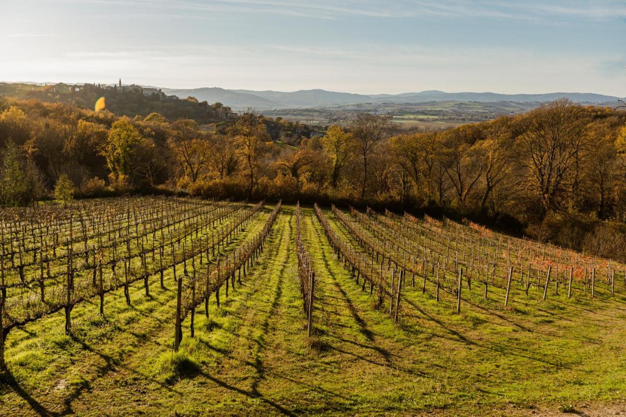 Agriturismo Le Cerque Collazzone Eksteriør billede
