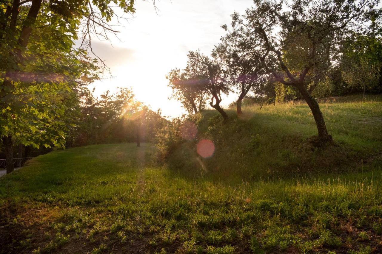Agriturismo Le Cerque Collazzone Eksteriør billede